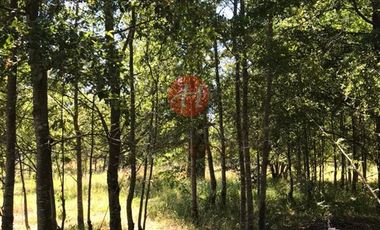 Parcela en Venta en Camino Internacional