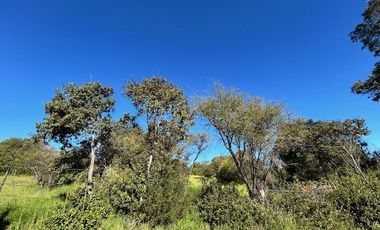 Sitio en Venta en Loteo Lomas del Chivato Sector Maule Talca