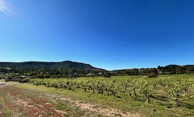 Sitio en Venta en Loteo Lomas del Chivato Sector Maule Talca