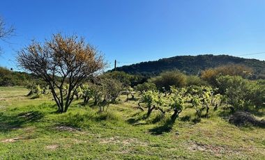 Sitio en Venta en Loteo Lomas del Chivato Sector Maule Talca