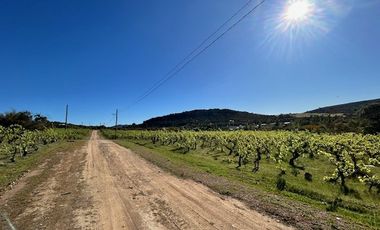 Sitio en Venta en Loteo Lomas del Chivato Sector Maule Talca