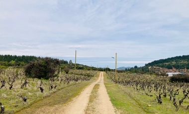 Sitio en Venta en Loteo Lomas del Chivato Sector Maule Talca