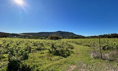 Sitio en Venta en Loteo Lomas del Chivato Sector Maule Talca