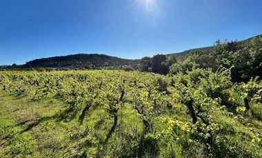 Sitio en Venta en Loteo Lomas del Chivato Sector Maule Talca