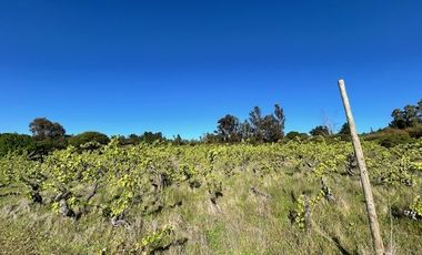 Sitio en Venta en Loteo Lomas del Chivato Sector Maule Talca