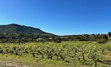 Sitio en Venta en Loteo Lomas del Chivato Sector Maule Talca