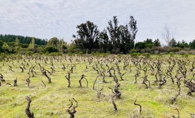 Sitio en Venta en Loteo Lomas del Chivato Sector Maule Talca