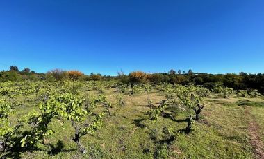 Sitio en Venta en Loteo Lomas del Chivato Sector Maule Talca