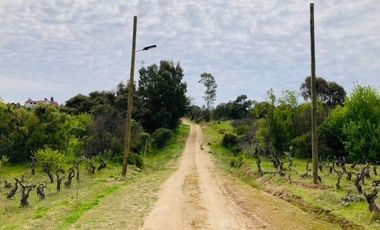 Sitio en Venta en Loteo Lomas del Chivato Sector Maule Talca
