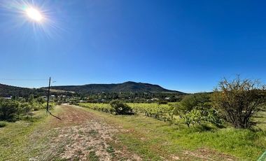 Sitio en Venta en Loteo Lomas del Chivato Sector Maule Talca
