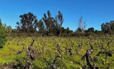 Sitio en Venta en Loteo Lomas del Chivato Sector Maule Talca