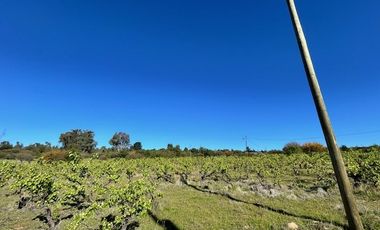 Sitio en Venta en Loteo Lomas del Chivato Sector Maule Talca