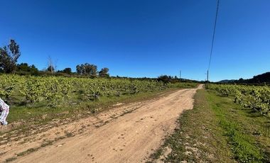 Terreno Construccion en Venta en Loteo Lomas del Chivato Sector Maule Talca