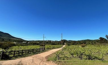 Terreno Construccion en Venta en Loteo Lomas del Chivato Sector Maule Talca