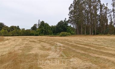 Parcela en Venta en COD38937 a 25 kilometros de Temuco, camino a Maquehue, sector Quepe Boroa