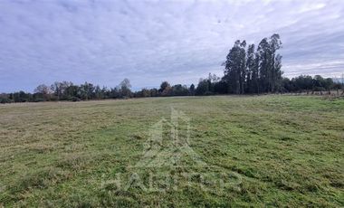 Parcela en Venta en COD38937 a 25 kilometros de Temuco, camino a Maquehue, sector Quepe Boroa