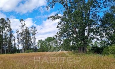 Parcela en Venta en COD38937 a 25 kilometros de Temuco, camino a Maquehue, sector Quepe Boroa