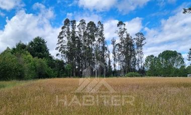 Parcela en Venta en COD38937 a 25 kilometros de Temuco, camino a Maquehue, sector Quepe Boroa