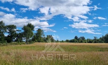 Parcela en Venta en COD38937 a 25 kilometros de Temuco, camino a Maquehue, sector Quepe Boroa