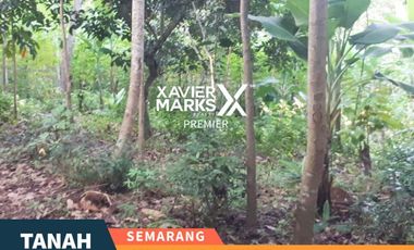 Dijual Tanah Di Gedawang Banyumanik Semarang