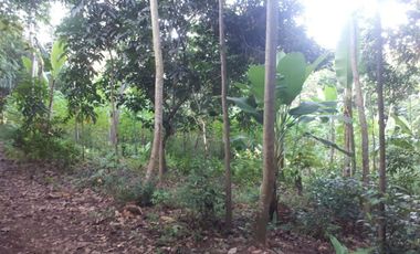 Dijual Tanah Di Gedawang Banyumanik Semarang