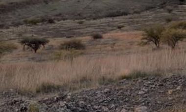 Parcela en Venta en Villa manantiales