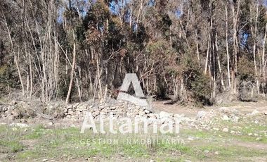 Sitio en Venta en Camino La Serena Vicuña, km 15,5 por Ruta 41, a solo 8,5 km de Aeropuerto La Florida