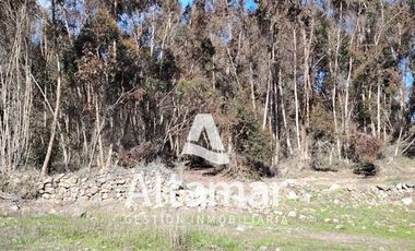 Sitio en Venta en Camino La Serena Vicuña, km 15,5 por Ruta 41, a solo 8,5 km de Aeropuerto La Florida