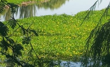 CONDOMINIO EL TOTORAL