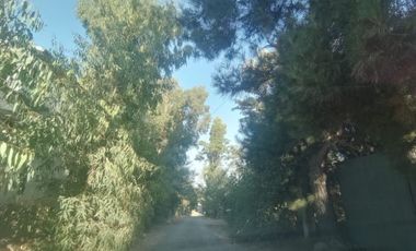 CONDOMINIO EL TOTORAL