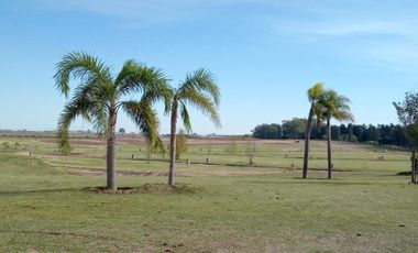 Terreno en venta - 620mts2 totales - Zarate Golf Park