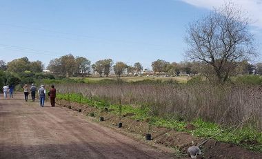 Terreno en venta - 620mts2 totales - Zarate Golf Park