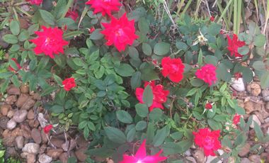 Venta de casa en Las Arboledas, Tlalnepantla, AV1777