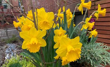 Venta de casa en Las Arboledas, Tlalnepantla, AV1777