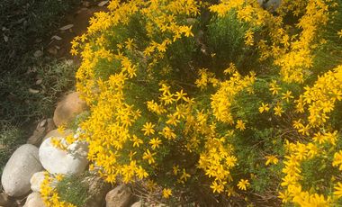 Venta de casa en Las Arboledas, Tlalnepantla, AV1777