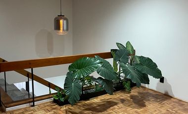 Casa en renta en la del Valle Sur. Uso habitacional