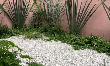 Casa en renta en la del Valle Sur. Uso habitacional