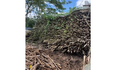 VENDO FINCA EN QUIMBAYA