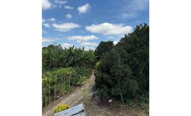 VENDO FINCA EN QUIMBAYA