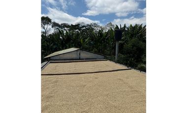 VENDO FINCA EN QUIMBAYA