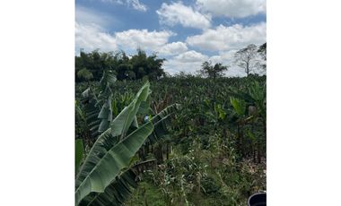 VENDO FINCA EN QUIMBAYA