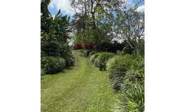 VENDO FINCA EN QUIMBAYA