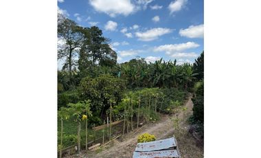 VENDO FINCA EN QUIMBAYA
