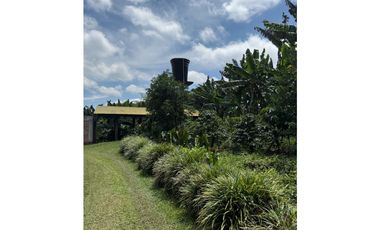 VENDO FINCA EN QUIMBAYA