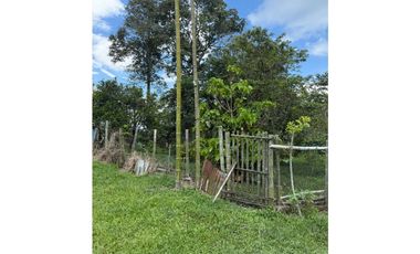 VENDO FINCA EN QUIMBAYA