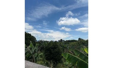 VENDO FINCA EN QUIMBAYA