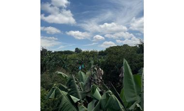 VENDO FINCA EN QUIMBAYA