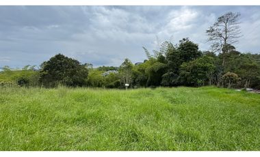 VENTA DE LOTE EN PARCELACIÓN VEREDA SAN ANTONIO CIRCASIA QUINDO