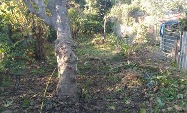 Casa en venta - 2 Dormitorios 2 Baños - Cochera - 433Mts2 - Bosque Grande, Mar del Plata