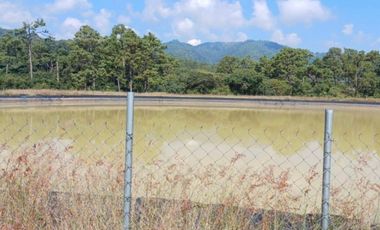 Rancho en venta Tancítaro Michoacan